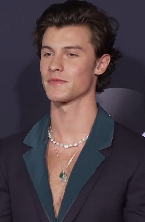 Shawn Peter Raul Mendes