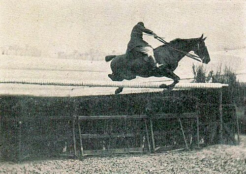 Доминик Гард